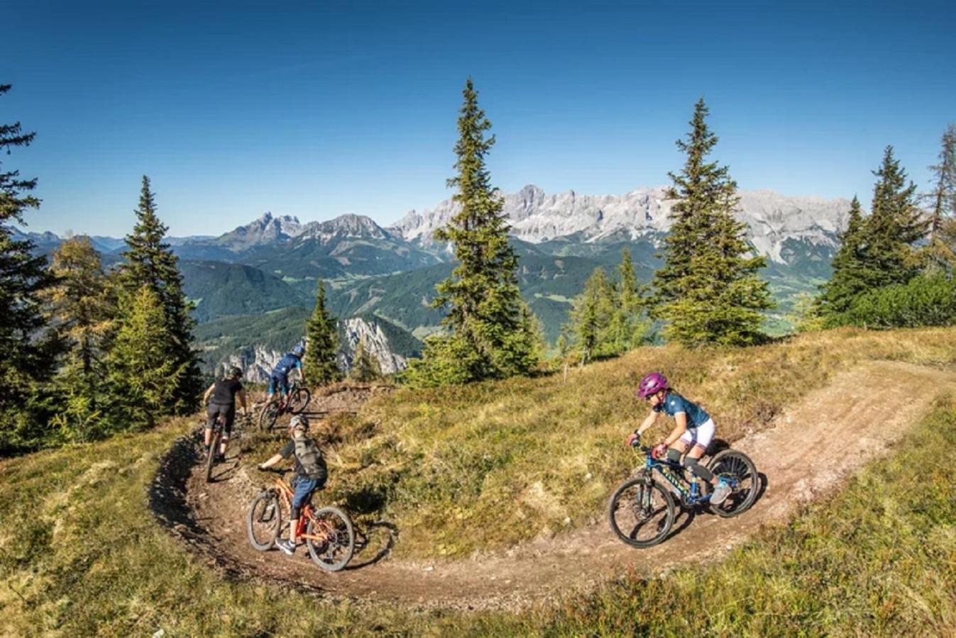 Das Gries Schladming Extérieur photo